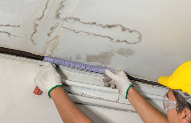 Reliable Emergency Water Damage Restoration contractor in Roselle Park, NJ by Water Damage Irwin